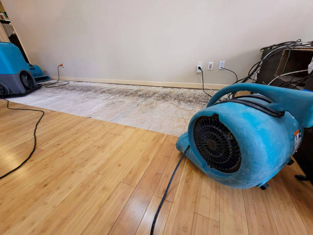 Professional Structural Drying technician working in Pasadena, MD